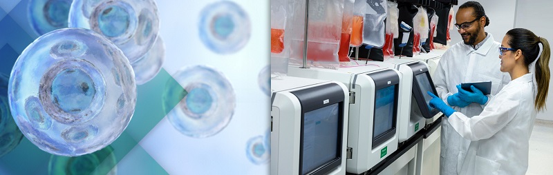 Image: The integration of Nova’s BioProfile FLEX2 will enable automated cell culture analyses for process development through commercial manufacturing with Quantum Flex (Photo courtesy of Terumo BCT)